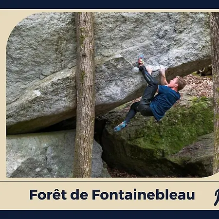 Le Petit Ecrin Bellifontain Cozy Centre * Fontainebleau